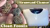 Can I Clean Fossils With Ultrasonic Cleaner